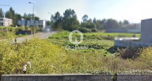 Terreno R�stico - Ribeir�o, Vila Nova de Famalic�o, Braga