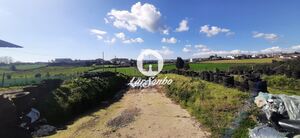 Quinta T4 - Fradelos, Vila Nova de Famalico, Braga - Miniatura: 18/23