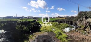 Quinta T4 - Fradelos, Vila Nova de Famalico, Braga - Miniatura: 20/23