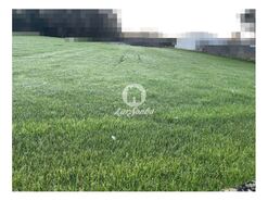 Terreno Rstico - Balazar, Pvoa de Varzim, Porto - Miniatura: 1/5