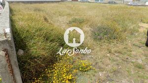 Terreno R�stico - Agu�adoura, P�voa de Varzim, Porto - Miniatura: 1/2