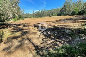 Terreno R�stico - Balazar, P�voa de Varzim, Porto - Miniatura: 1/3