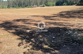 Terreno R�stico - Balazar, P�voa de Varzim, Porto - Miniatura: 2/3