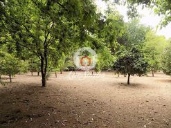 Quinta - Cruz, Vila Nova de Famalic�o, Braga - Miniatura: 18/20