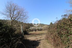 Terreno R�stico - Ribeir�o, Vila Nova de Famalic�o, Braga - Miniatura: 1/3