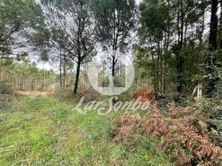 Terreno R�stico - Malta, Vila do Conde, Porto - Miniatura: 1/3