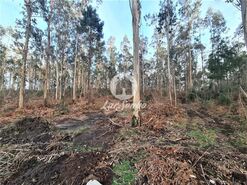 Terreno R�stico - Retorta, Vila do Conde, Porto - Miniatura: 2/3