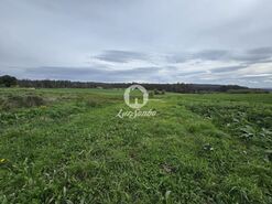 Terreno R�stico - A Ver-o-Mar, P�voa de Varzim, Porto - Miniatura: 21/26