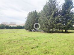 Terreno R�stico - Malta, Vila do Conde, Porto - Miniatura: 4/11
