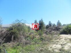 Terreno R�stico - Arvore, Vila do Conde, Porto - Miniatura: 2/3