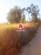 Terreno R�stico - Monte C�rdova, Santo Tirso, Porto - Miniatura: 1/11