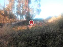 Terreno R�stico - Monte C�rdova, Santo Tirso, Porto - Miniatura: 6/11