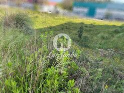 Terreno R�stico - CORONADO, Trofa, Porto - Miniatura: 2/10