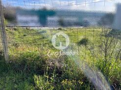 Terreno R�stico - CORONADO, Trofa, Porto - Miniatura: 3/10