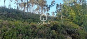 Terreno R�stico - Bougado, Trofa, Porto - Miniatura: 2/32