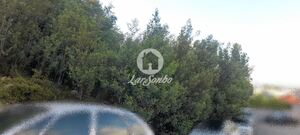 Terreno R�stico - Bougado, Trofa, Porto - Miniatura: 6/32