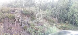 Terreno R�stico - Bougado, Trofa, Porto - Miniatura: 7/32