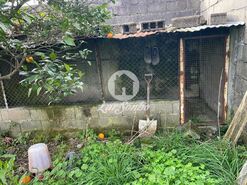 Terreno R�stico - Covelas, Trofa, Porto - Miniatura: 7/8