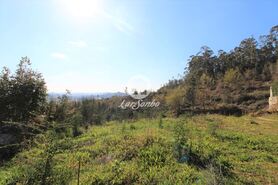 Terreno R�stico - Vale (S�o Martinho), Vila Nova de Famalic�o, Braga - Miniatura: 4/7