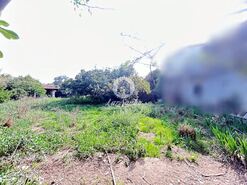 Quinta T5 - Fradelos, Vila Nova de Famalic�o, Braga - Miniatura: 22/29