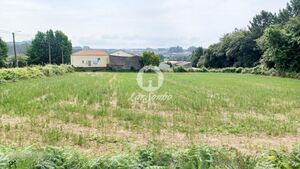 Terreno R�stico - S�o Pedro Fins, Amarante, Porto - Miniatura: 3/15