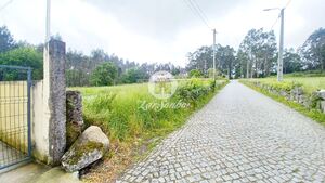 Terreno R�stico - S�o Pedro Fins, Amarante, Porto - Miniatura: 12/15