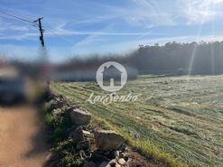 Terreno R�stico - Rio Mau, Vila do Conde, Porto - Miniatura: 2/3