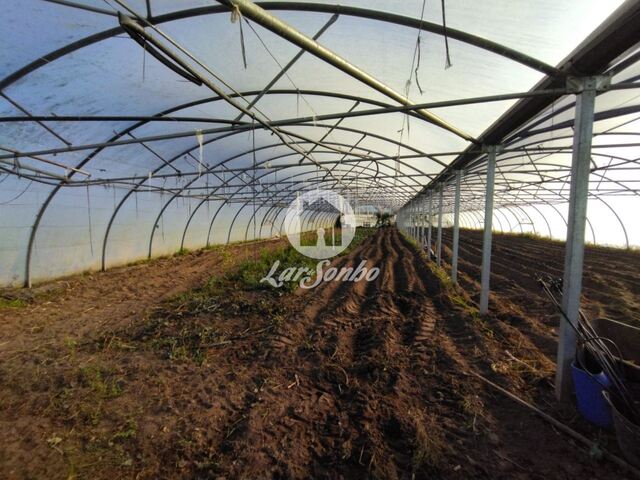 Terreno R�stico - Agu�adoura, P�voa de Varzim, Porto - Imagem grande