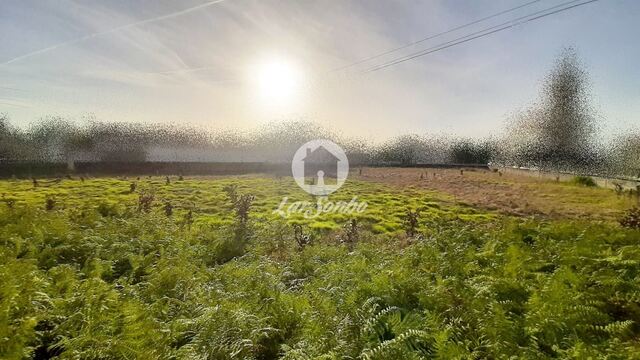 Terreno R�stico - A Ver-o-Mar, P�voa de Varzim, Porto - Imagem grande
