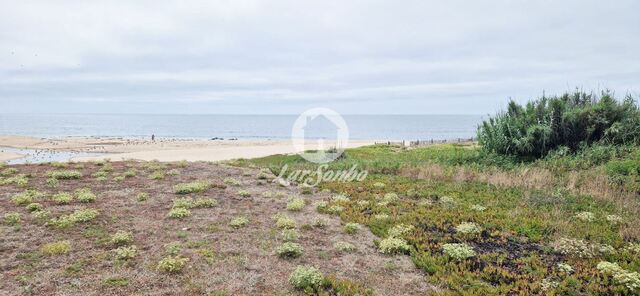 Terreno R�stico - Vila do Conde, Vila do Conde, Porto - Imagem grande