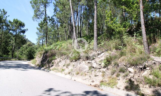 Terreno R�stico - Vilar da Veiga, Terras de Bouro, Braga - Imagem grande