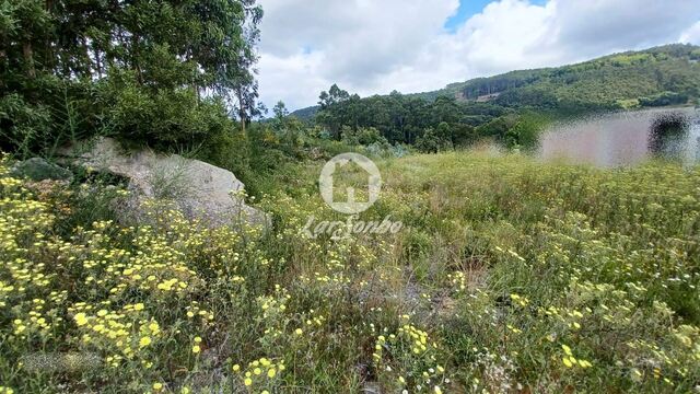 Terreno R�stico - Santo Tirso, Santo Tirso, Porto - Imagem grande