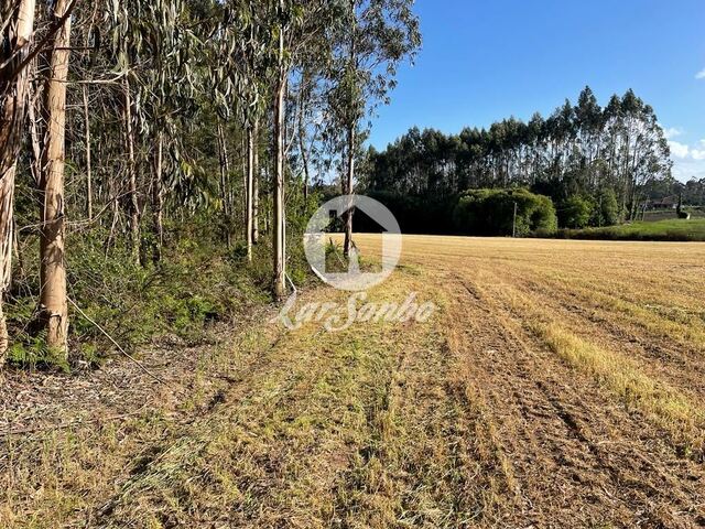 Terreno R�stico - P�voa de Varzim, P�voa de Varzim, Porto - Imagem grande