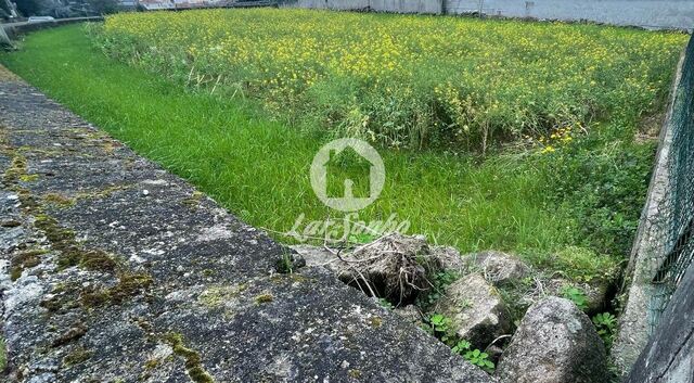 Terreno R�stico - Gondifelos, Vila Nova de Famalic�o, Braga - Imagem grande