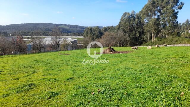 Terreno R�stico - Vila Nova de Famalic�o, Vila Nova de Famalic�o, Braga - Imagem grande