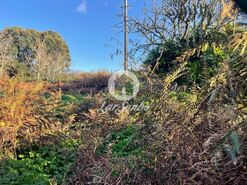 Terreno Rstico - Junqueira, Vila do Conde, Porto