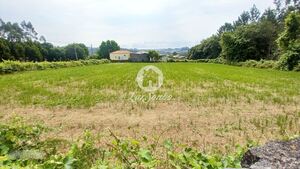 Terreno R�stico - S�o Pedro Fins, Amarante, Porto