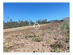 Terreno R�stico - CHORENTE, Barcelos, Braga