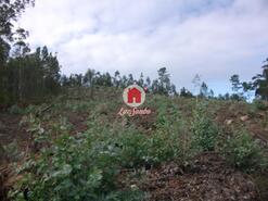 Terreno R�stico - Malta, Vila do Conde, Porto