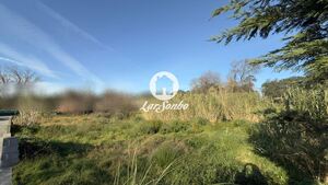 Terreno R�stico - Mindelo, Vila do Conde, Porto - Miniatura: 2/7
