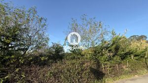 Terreno R�stico - Mindelo, Vila do Conde, Porto - Miniatura: 4/7