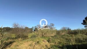 Terreno R�stico - Mindelo, Vila do Conde, Porto - Miniatura: 5/7