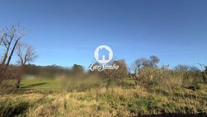 Terreno R�stico - Mindelo, Vila do Conde, Porto - Miniatura: 6/7
