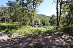 Quinta T2 - Caires, Amares, Braga - Miniatura: 7/20