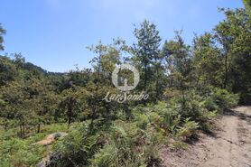Quinta T2 - Caires, Amares, Braga - Miniatura: 8/20