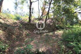 Quinta T2 - Caires, Amares, Braga - Miniatura: 12/20