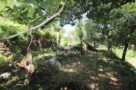 Quinta T2 - Caires, Amares, Braga - Miniatura: 17/20