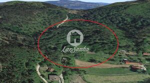 Quinta T2 - Caires, Amares, Braga - Miniatura: 19/20