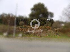 Terreno Rstico - Viatodos, Barcelos, Braga - Miniatura: 1/2