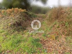 Terreno Rstico - Viatodos, Barcelos, Braga - Miniatura: 2/2